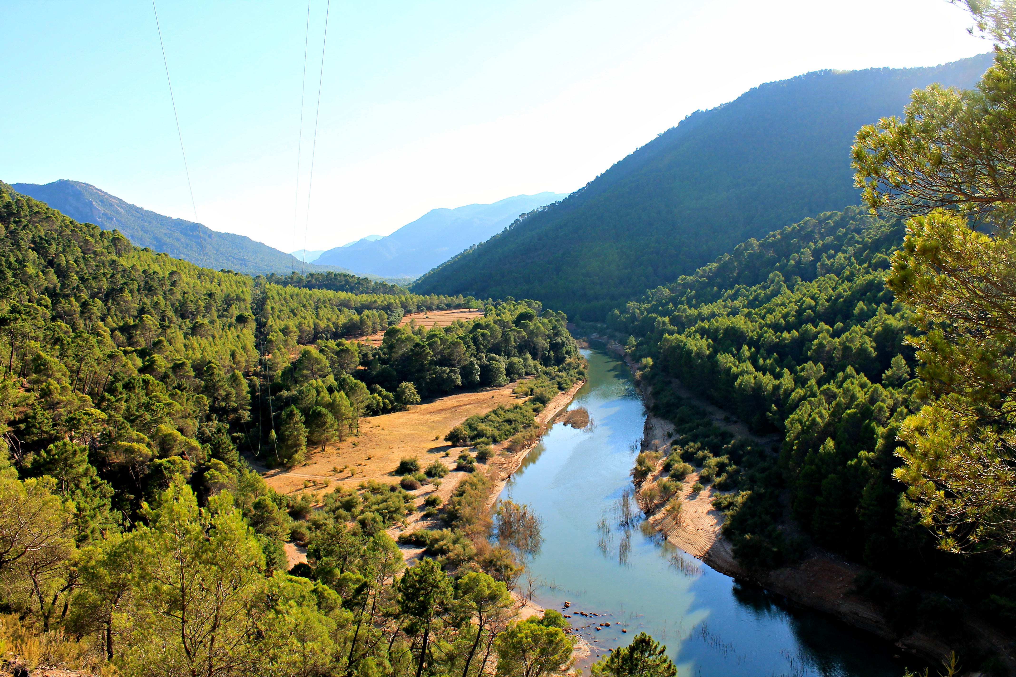Cazorla